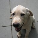 Bill Bechtold - @grimlock121 - Twitter