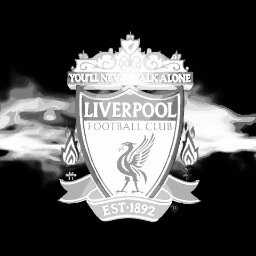 liverpool fan