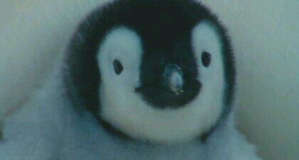 bingtn's profile picture. 1996_