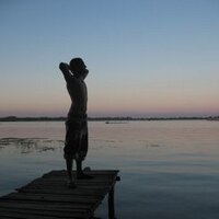 filipteatree (@filipteatree) 's Twitter Profile