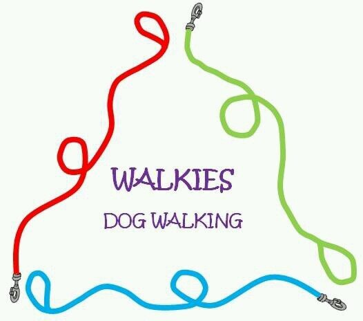 Dog walking and Pet Sitting in the Triangle Area. An account to keep up to date with Walkies and it's doggies (and other creatures!) :)