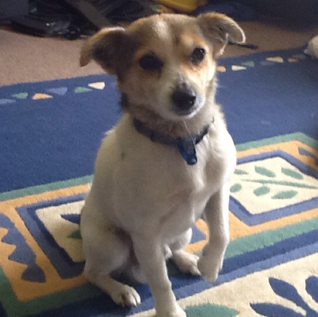 matty3961's profile picture. 