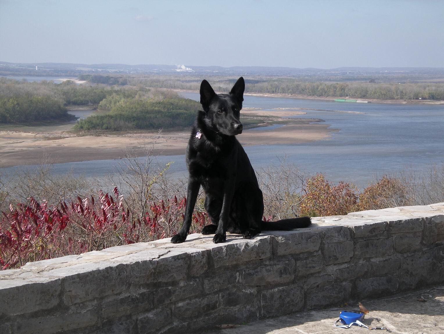 agdakota's profile picture. 