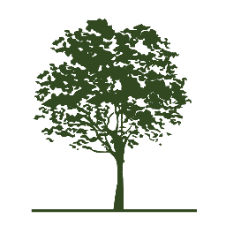 Godwin's Tree Consultants - Tree surveys and reports for planning applications - tree safety & risk management - tree damage to buildings.