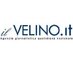 Il Velino/AGV (@ilvelino) Twitter profile photo