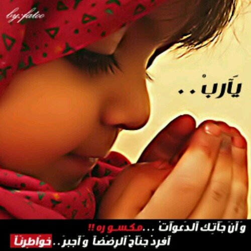 androidp2p9453's profile picture. 