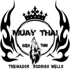 Suek Thim Muay Thai ศึกทีม - Equipe Muay Thai de Cachoeirinha/RS