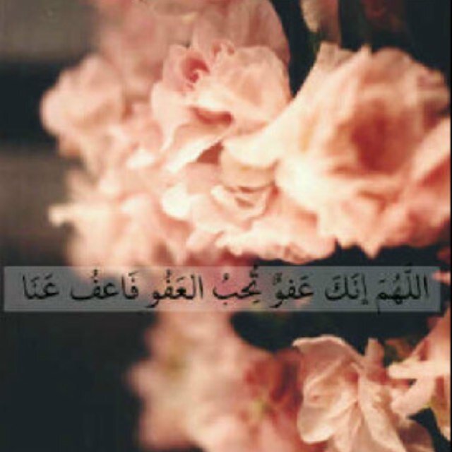 LadySaraa1's profile picture. سبحان الله و بحمده .. أشهد أن لا إله إلا الله.. أستغفرك ربي و أتوب إليك