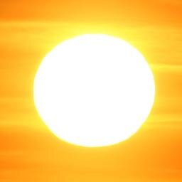 EmmaLearner's profile picture. Living the adventure. Loving the journey.