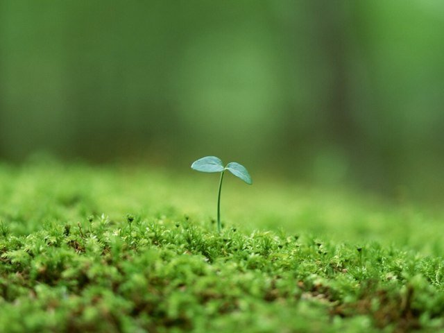 arimurazemi's profile picture. 早稲田大学政治経済学部有村ゼミの公式アカウントです。テーマは環境経済学。毎週月曜4,5限に活動しています！DM・リプライ等お気軽にどうぞ!