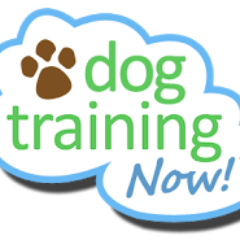 DogTrainingNow1's profile picture. When I train dogs, I use a balanced approach with lots of praise and motivation.  Get a lifetime of love & respect from your dog with training .