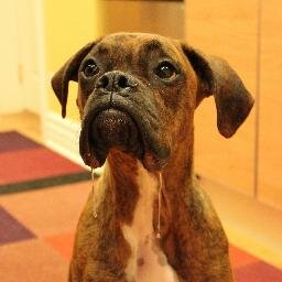 drspaceman78's profile picture. 