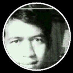 HeTryhendri's profile picture. up to you