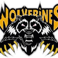 West Bend Mallard (@wbmwolverines) 's Twitter Profile