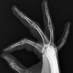 ignaciocampan's profile picture. 