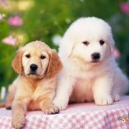 Detesto as  pessoas que se dizem amigas e não nos dão valor nenhum... espero que saibas quem são os teus verdadeiros amigos eu á sei quem são. segue ;)