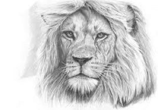 الاسم مازن العمر ١٢ سنة وهوايتي رسم الشخصيات الكرتونية وشخصيات الانمي وديزني