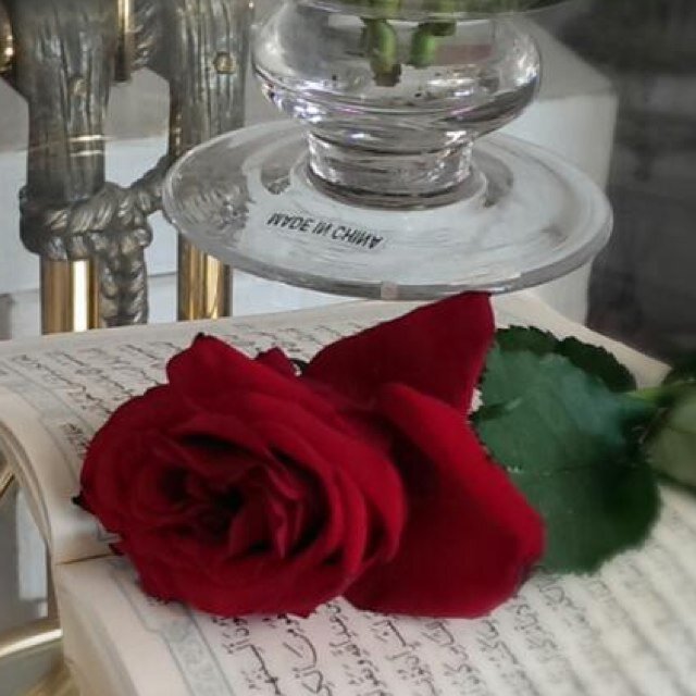 ....سبحان الله وبحمده ....
متابعه بصمت اغلب الاوقات ...