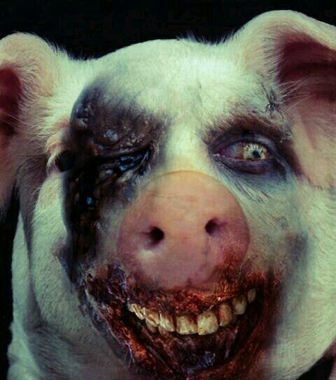 Porquinha do The Walking Dead