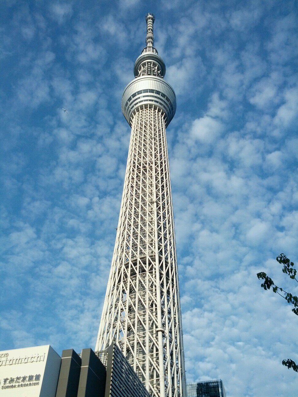 Sasakiki Sasayaaaan0419 Twitter