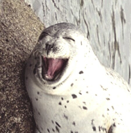 eustaquian's profile picture. Well, I just love my friends, all the animals of this  planet. Any animal may send a picture