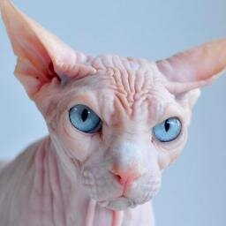 Nº Fさんのプロフィール画像