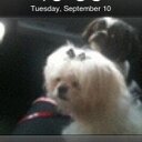 debbie peters - @dpeters15 - Twitter