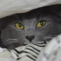 Lykkebringer (@lykkebringer) 's Twitter Profile