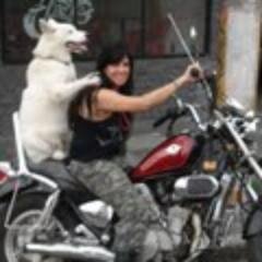 EstrelaKjeld's profile picture. Amo rock, animais, minha família, ler; comer e curtir ao máximo a vida.