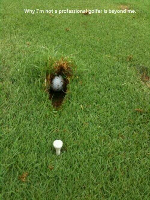 amateurgolflife's profile picture. I duff the ball like no one else because I'm an amateur!