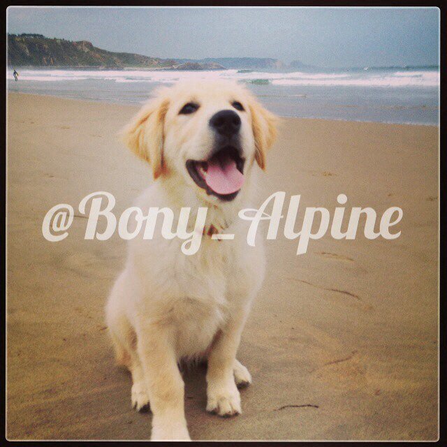 Bony_alpine Profile Picture