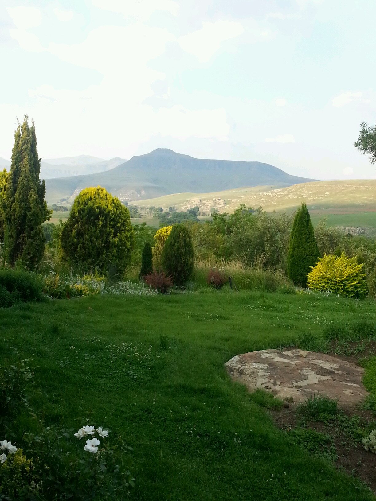 Optimistic South African farm girl who loves blue sky thinking in marketing,  cooking and life.