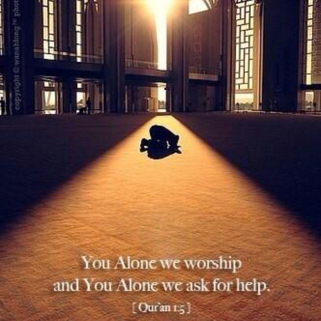 KEEPITHALAL_786's profile picture. قال النبي (ص): لا يؤمن حقاً حتى يحب لأخيه ما يحب لنفسه. The prophet (PBH) said: not really believes until he loves for his brother what he loves for himself