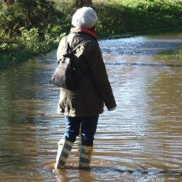 HellyHewitt's profile picture. 