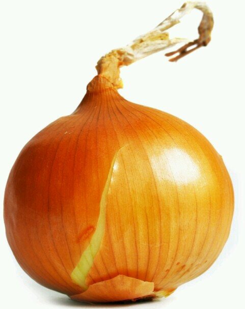 NegotiumUF's profile picture. 