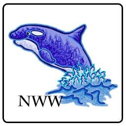 NoWorriesWhale Profile Picture