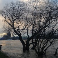 Zwitschini (@zwitschine) Twitter profile photo