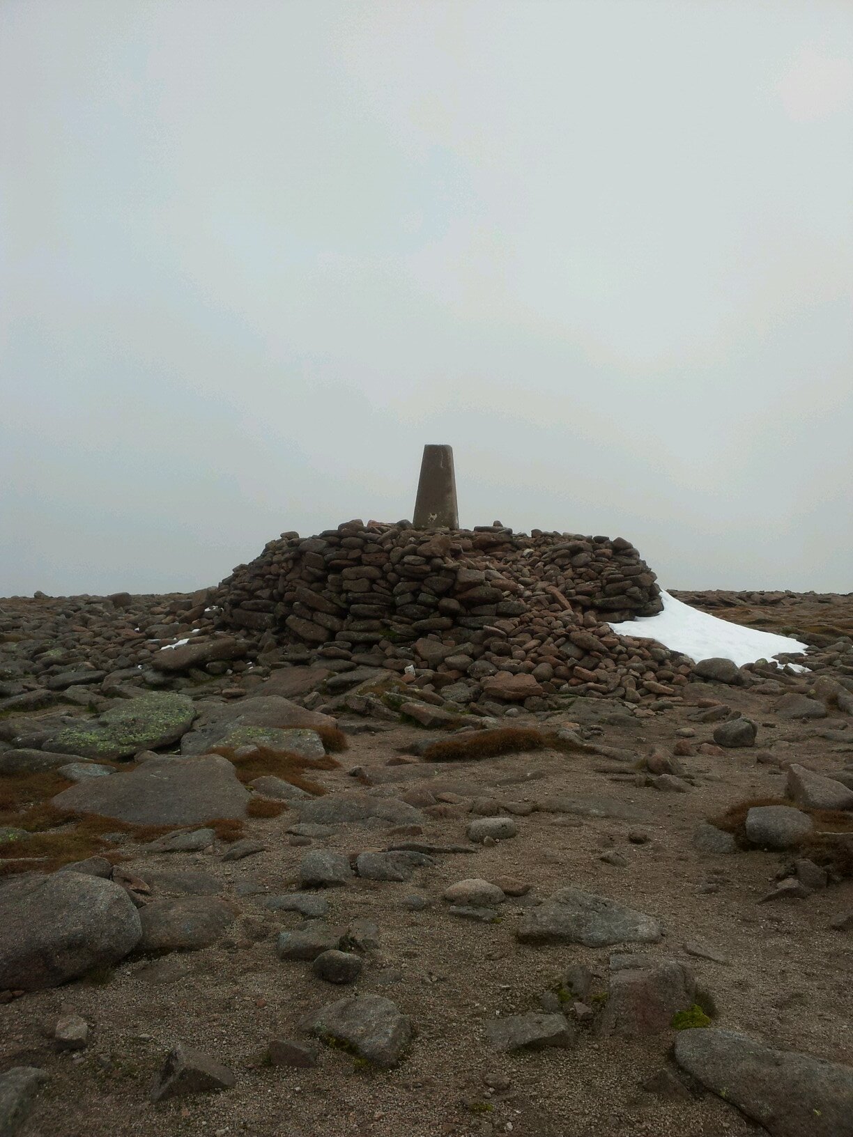 rocksnownice's profile picture. 