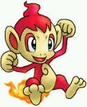 Soy Freen, un Chimchar shiny macho, Nvl 6, Subo nvl cada 5 seguidores. Me gusta montar en mi unicornio hacia el pais multicolor y estar con la abeja maya (???)
