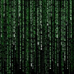 devstalk's profile picture. Stuff developers say on a daily basis