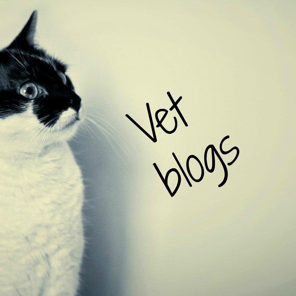Dierenarts Mique blogt over haar werk in de praktijk http://t.co/qjUaeKDurA