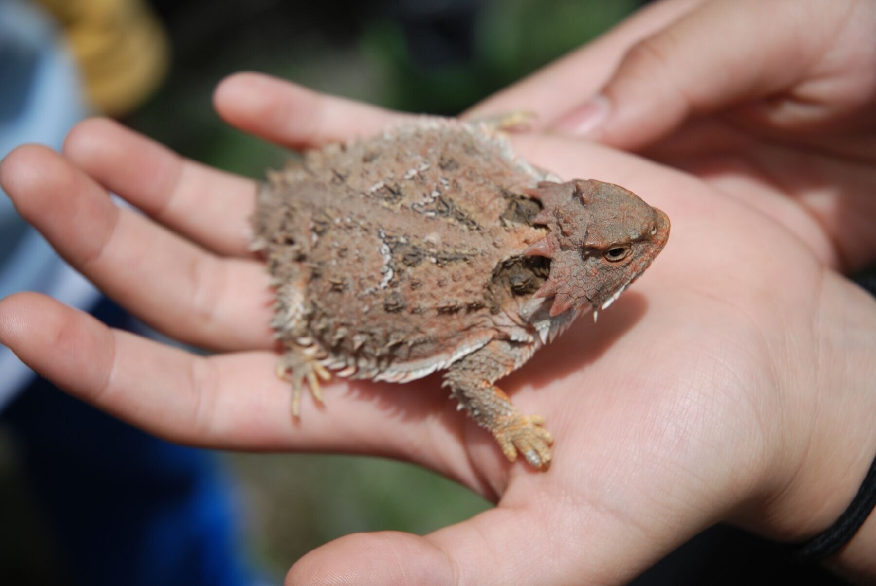 FerSa75's profile picture. 