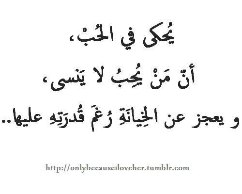 كنت اعشقك