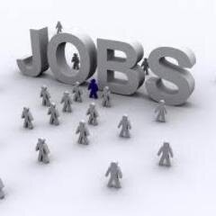 searching  for backlinks building worker (email me at  jobgoon0@gmail.com)