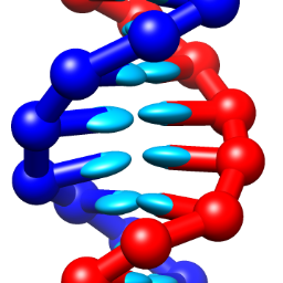 Coarse-grained models of DNA and RNA