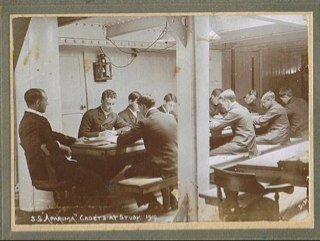 plascelles's profile picture. 