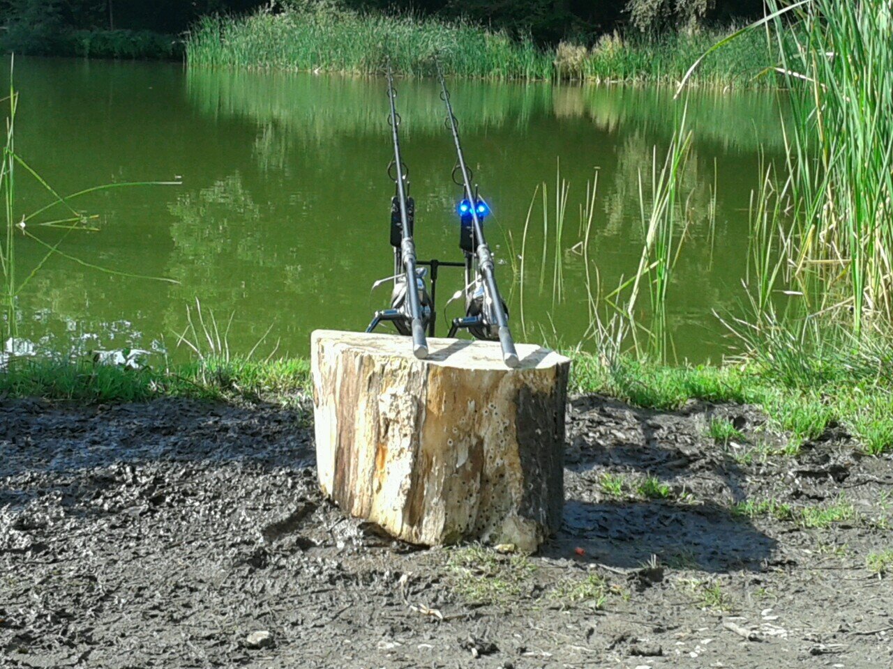 Richard_Bracey's profile picture. 