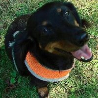 Carl Belken (@thundercloud59) 's Twitter Profile