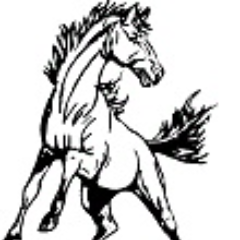 Flinthills Mustangs