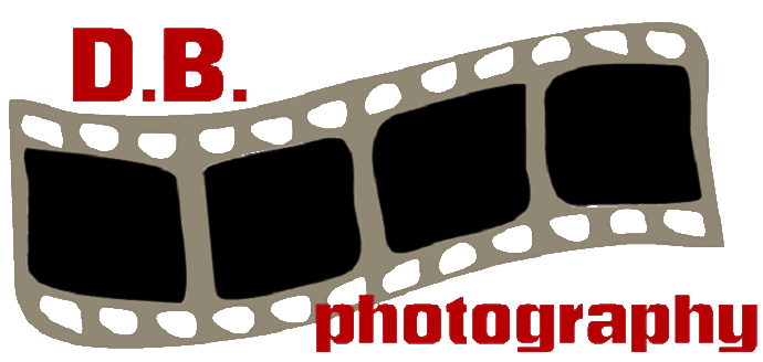 dbphoto2013's profile picture. Fotografia per passione.
Disponibilità per foto e video su richiesta in tutta Milano.
Per info scrivere a dbphotography2013@yahoo.it